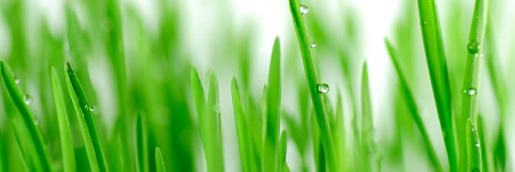 ¿Le preocupa el medio ambiente? ¿Le preocupa el medio ambiente?